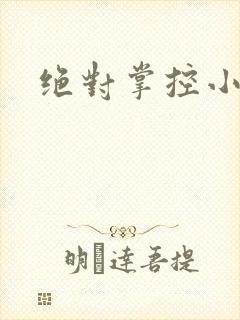 绝对掌控小说