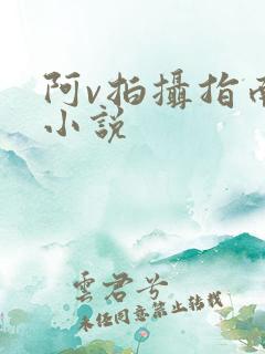 阿v拍摄指南说小说