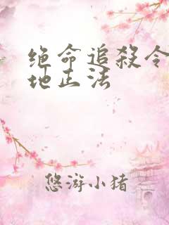 绝命追杀令2就地正法