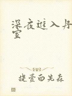 深夜进入丹丹卧室