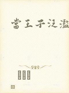 当王子泛滥之时