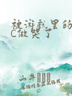 被游戏里的NPC做哭了