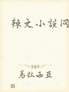 辣文小说网