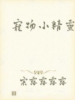 宠物小精灵漫画