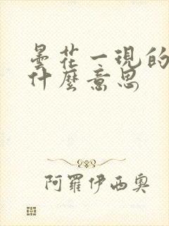 昙花一现的现是什么意思