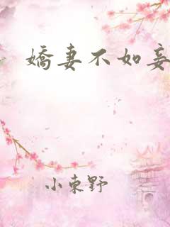 娇妻不如妾