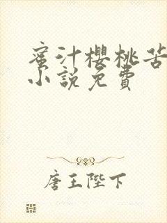 蜜汁樱桃苦咖啡小说免费