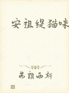 安祖缇猫咪抱抱