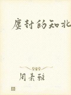 尘封的知北游
