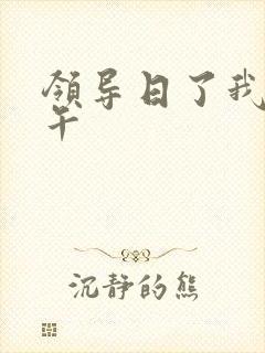 领导日了我一下午