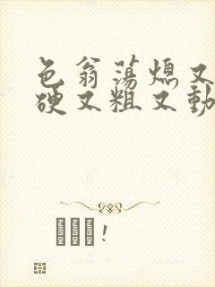 色翁荡熄又大又硬又粗又动态图