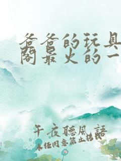 爸爸的玩具笔趣阁最火的一句