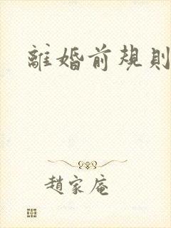 离婚前规则小说