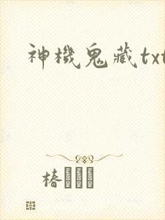神机鬼藏txt