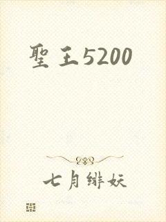 圣王5200