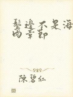 鬓边不是海棠红肉章节