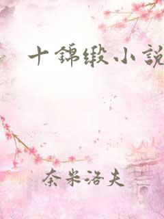 十锦缎小说