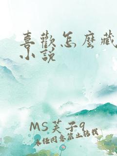 喜欢怎么藏不住小说