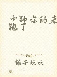 少帅你的老婆又跑了