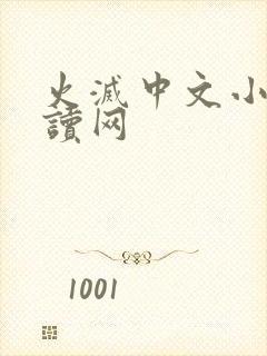 火灭中文小说阅读网