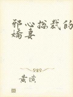 邪心总裁的纯情娇妻