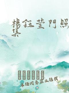 杨钰莹门照艳全集