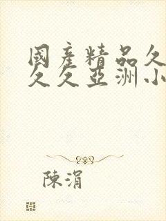 国产精品久久久久久亚洲小说