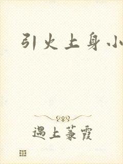 引火上身小说