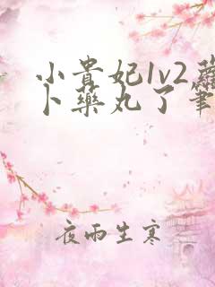 小贵妃1v2萝卜药丸了笔趣阁