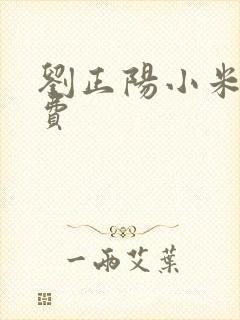 刘正阳小米多免费