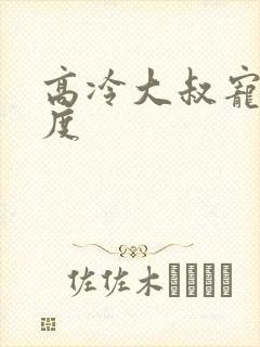 高冷大叔宠妻无度