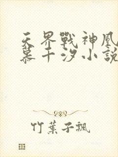 天界战神凰九夜慕千汐小说