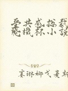 受共感总裁攻的飞机杯小说叫什么