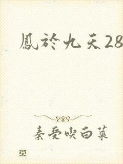 凤于九天28