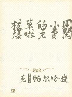 校草的小同桌撩爆啦免费阅读