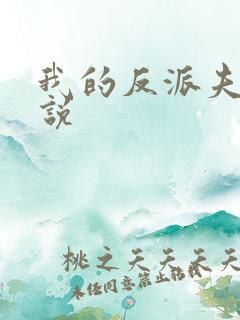 我的反派夫君小说