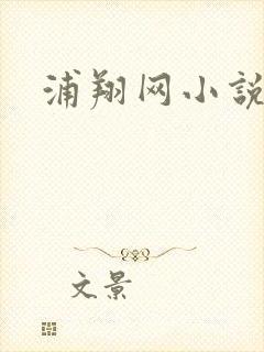 浦翔网小说