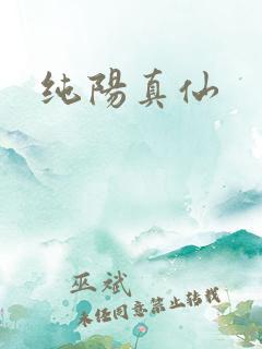 纯阳真仙