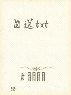 目送txt