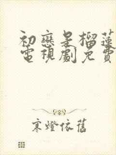 初恋是榴莲先生电视剧免费观看