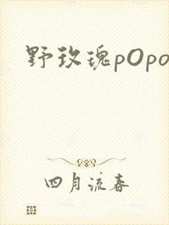 野玫瑰pOpo