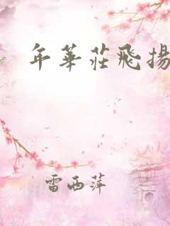 年华庄飞扬