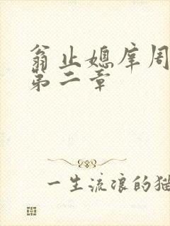 翁止媳庠周梦莹第二章