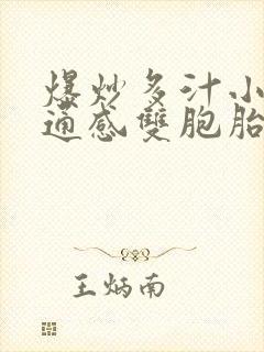 爆炒多汁小美人通感双胞胎