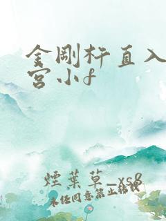 金刚杵直入莲花宫小f