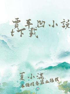 贾平凹小说txt下载