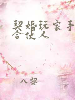 契婚玩家手册之合伙人