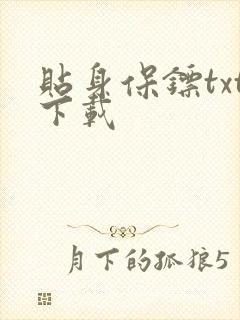 贴身保镖txt下载