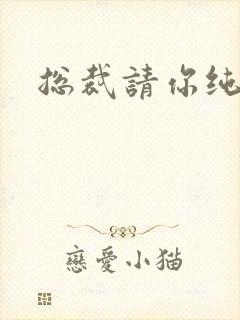 总裁请你纯洁点