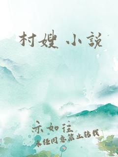 村嫂 小说